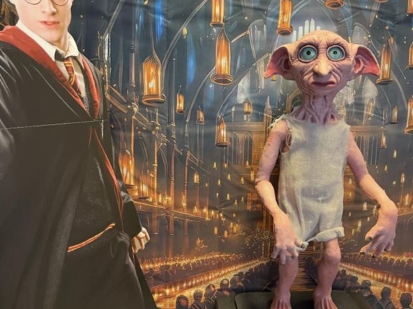 Harry Potter and Dobby the House Elf