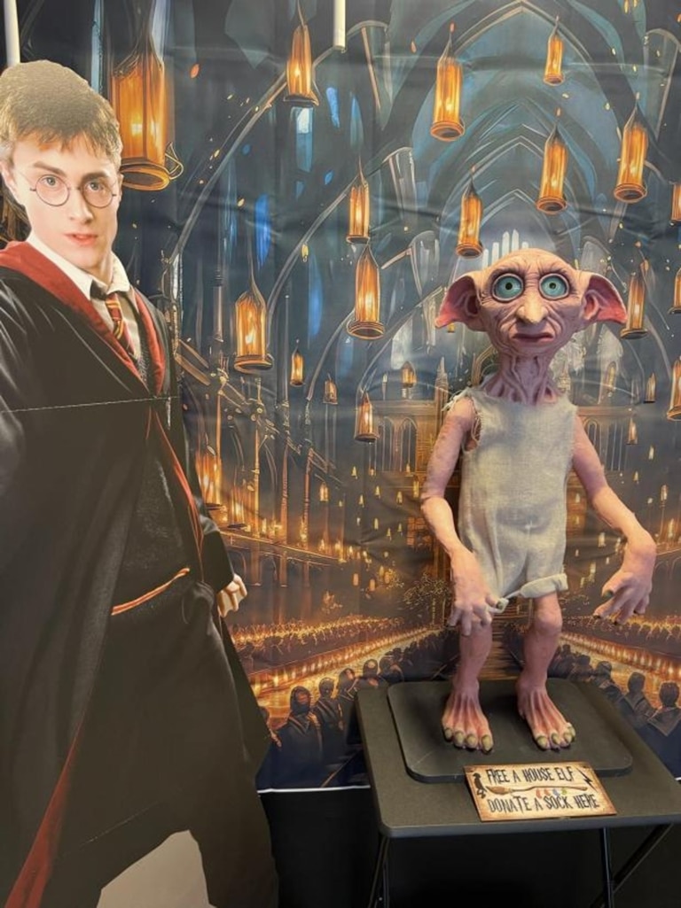 Harry Potter and Dobby the House Elf