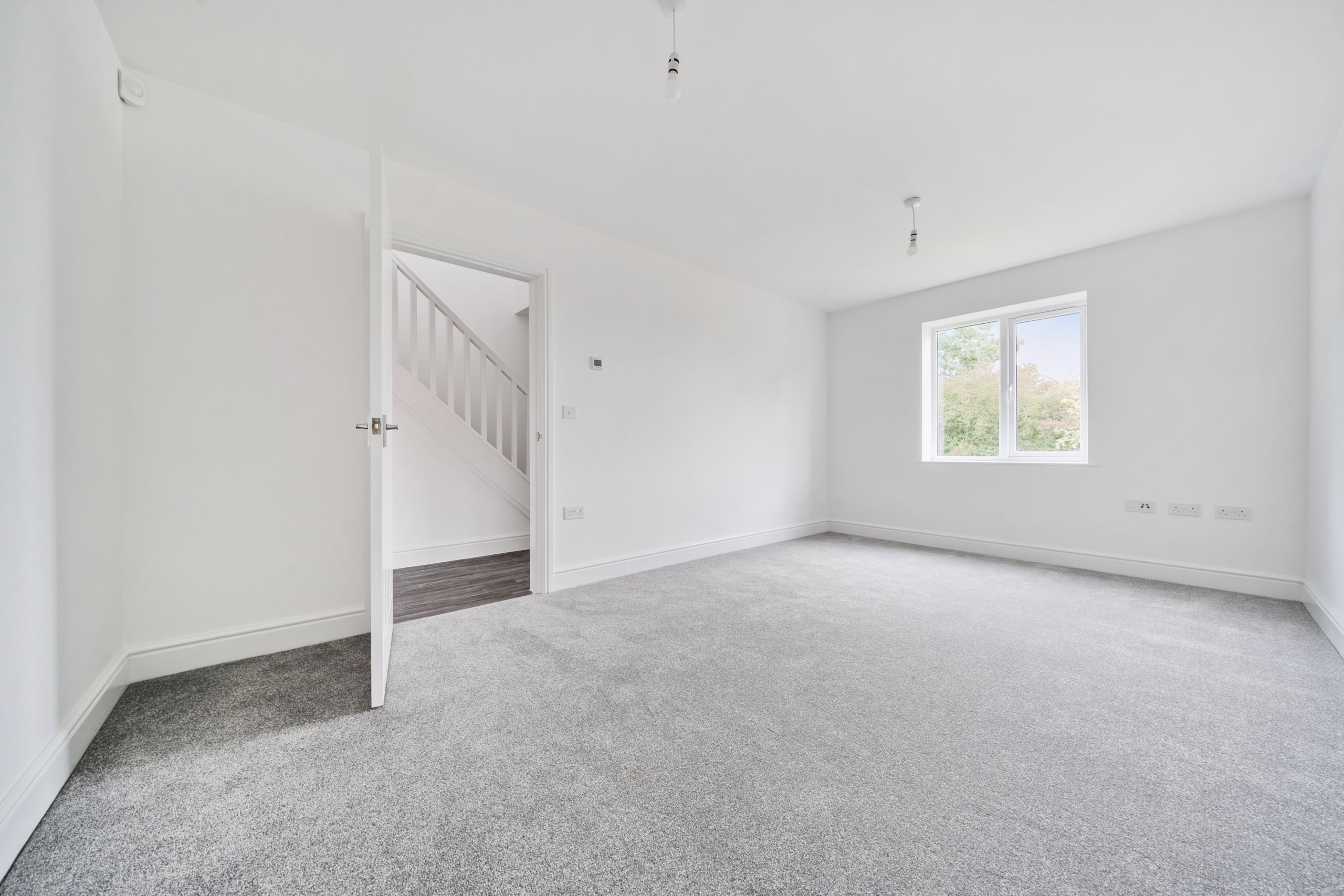 1347454-8-68b6fb6517fa9